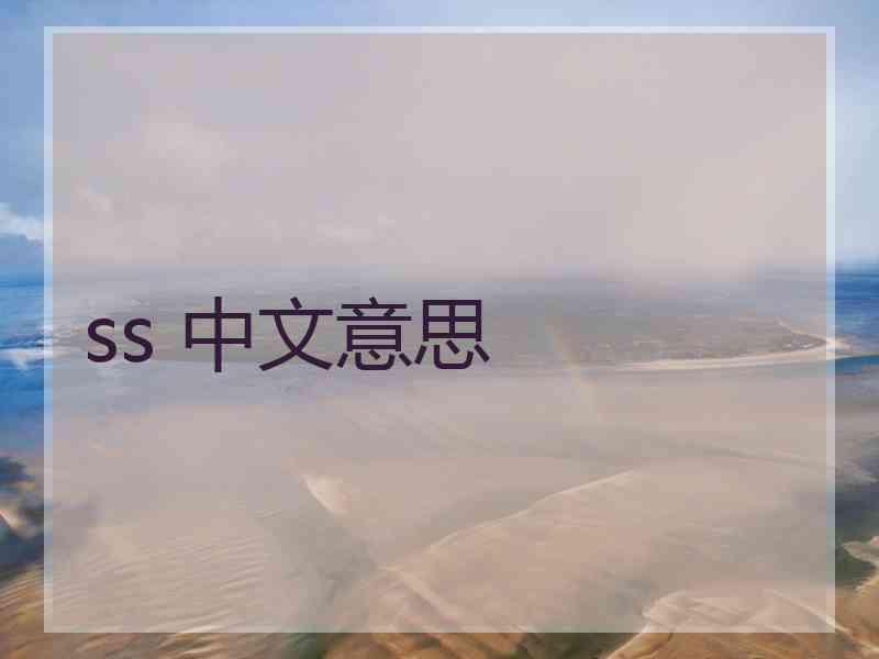 ss 中文意思