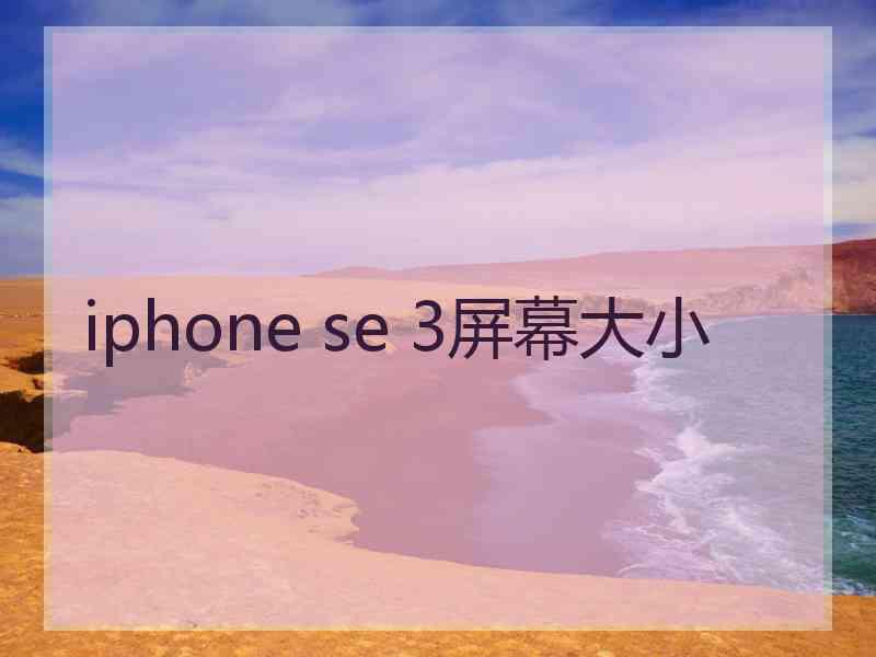 iphone se 3屏幕大小