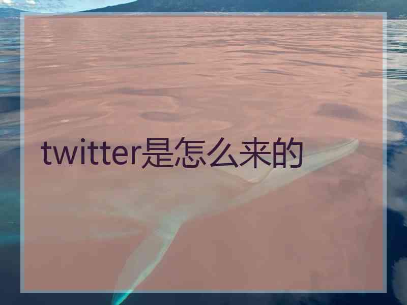 twitter是怎么来的