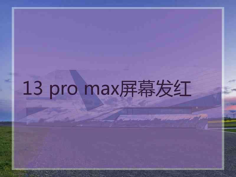 13 pro max屏幕发红