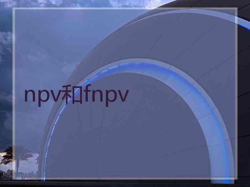 npv和fnpv