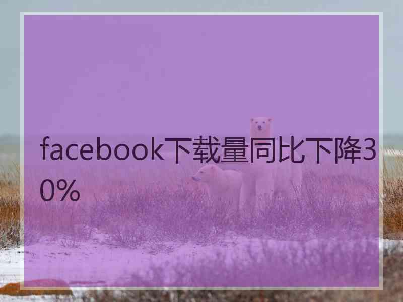 facebook下载量同比下降30%