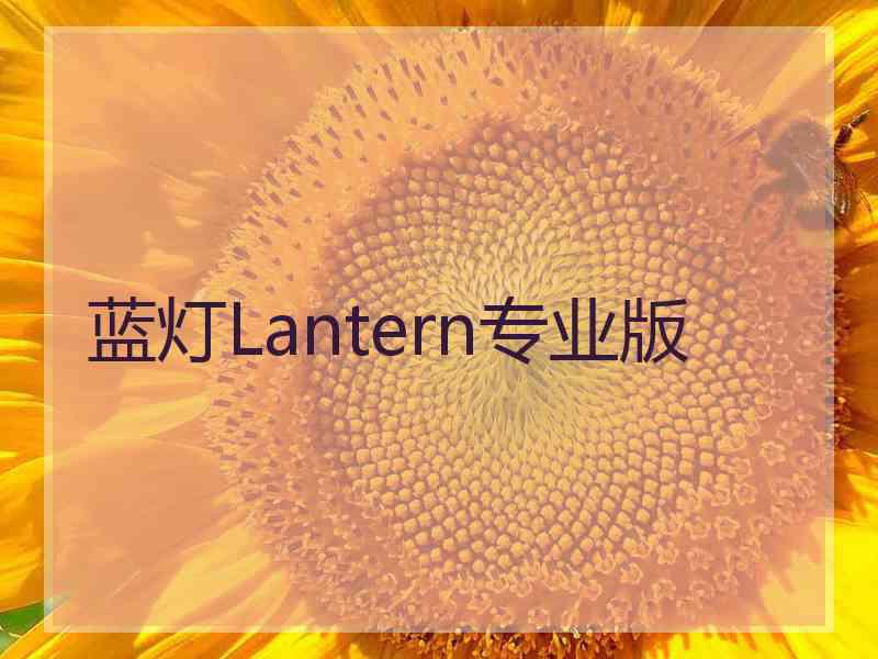 蓝灯Lantern专业版