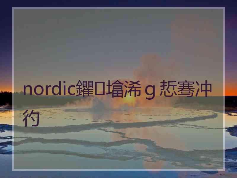 nordic鑺墖浠ｇ悊骞冲彴