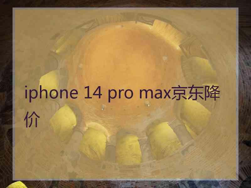 iphone 14 pro max京东降价