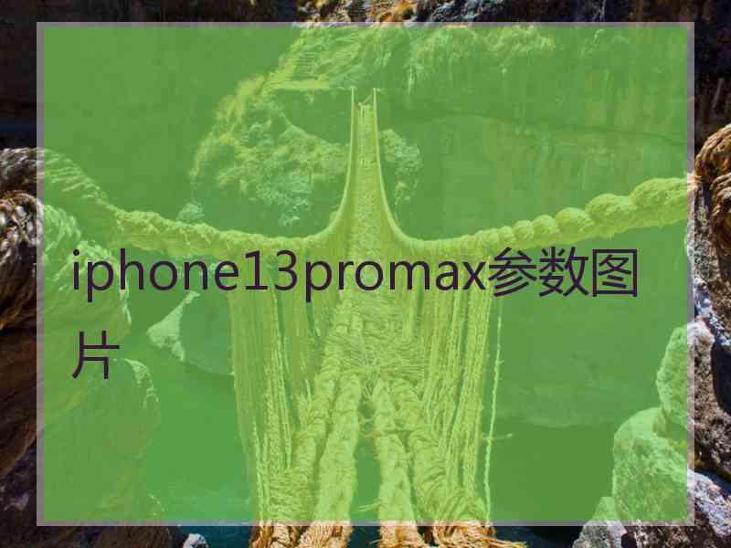 iphone13promax参数图片