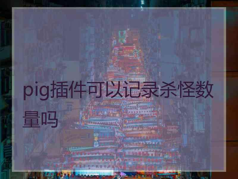 pig插件可以记录杀怪数量吗