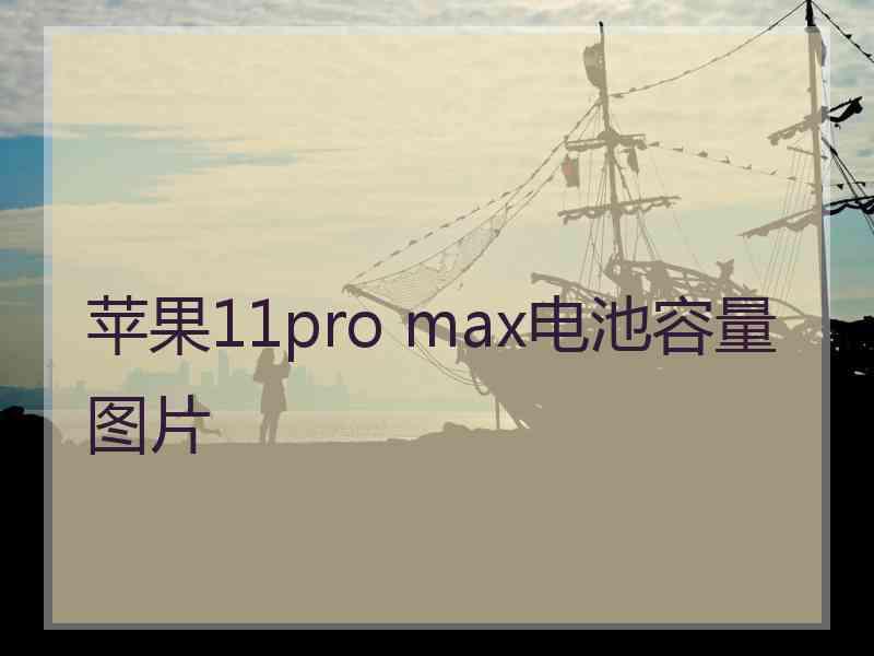 苹果11pro max电池容量图片