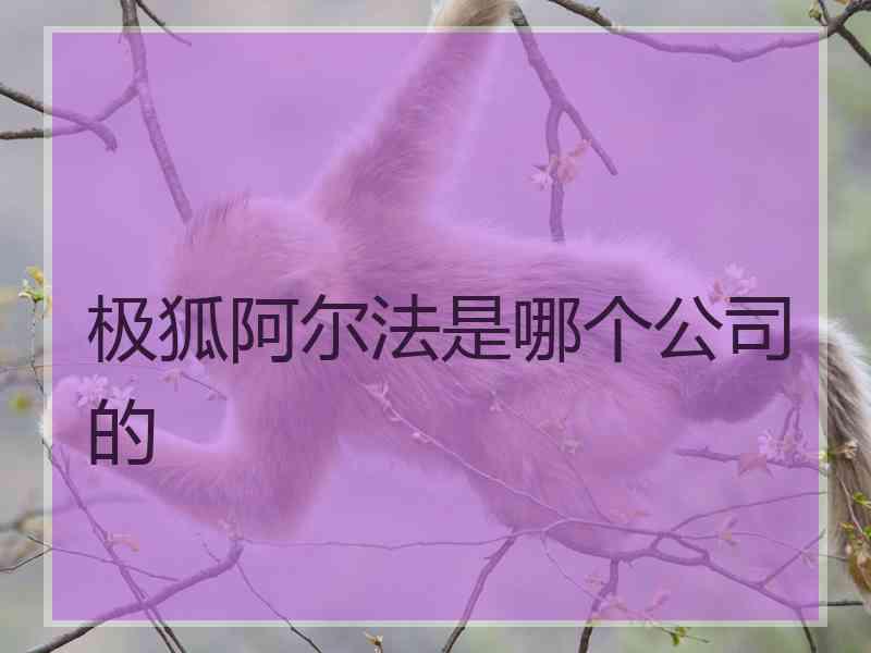 极狐阿尔法是哪个公司的