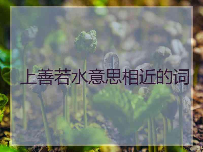 上善若水意思相近的词