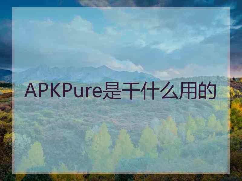 APKPure是干什么用的