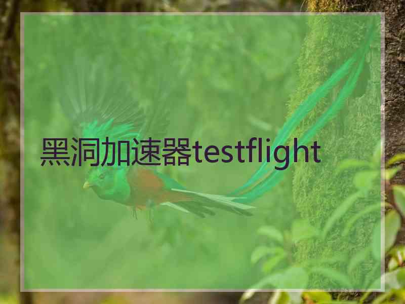 黑洞加速器testflight