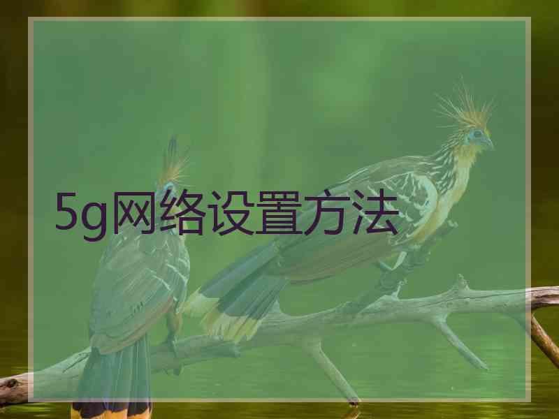 5g网络设置方法