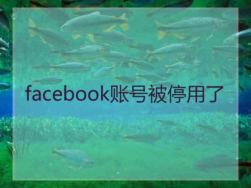 facebook账号被停用了