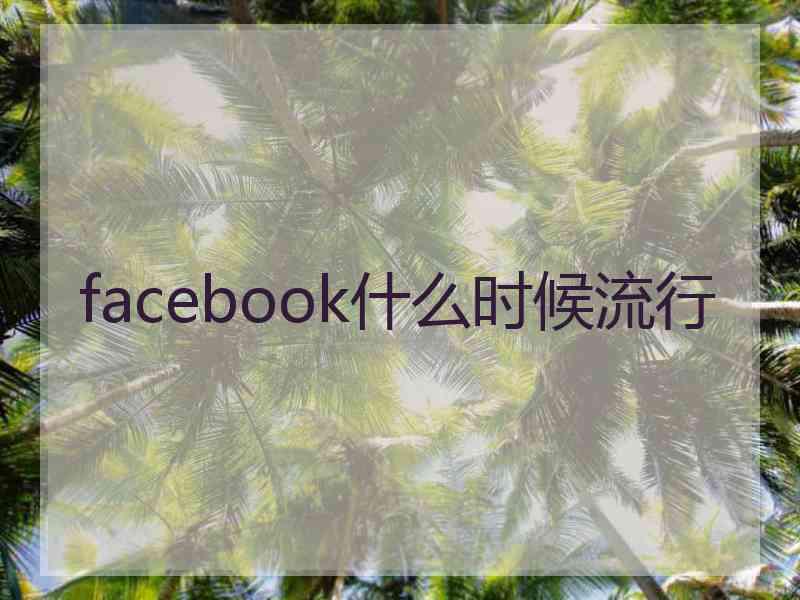 facebook什么时候流行