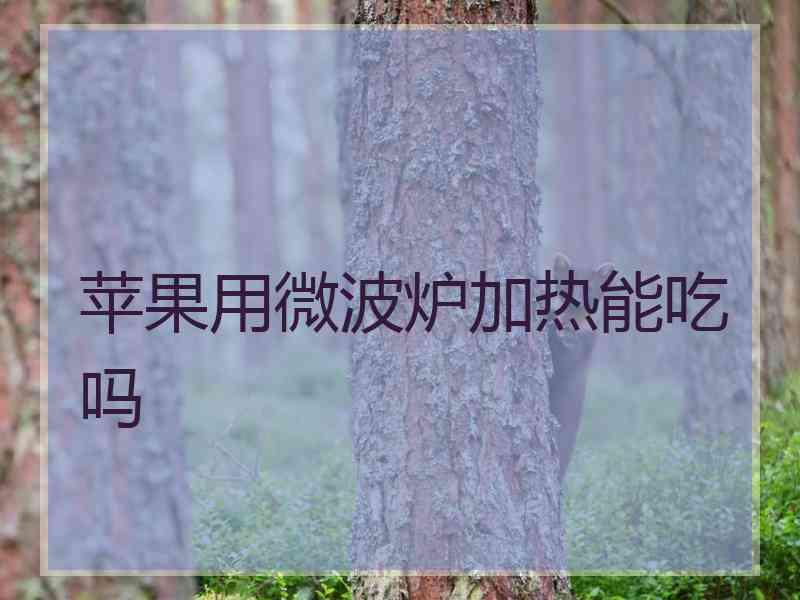 苹果用微波炉加热能吃吗