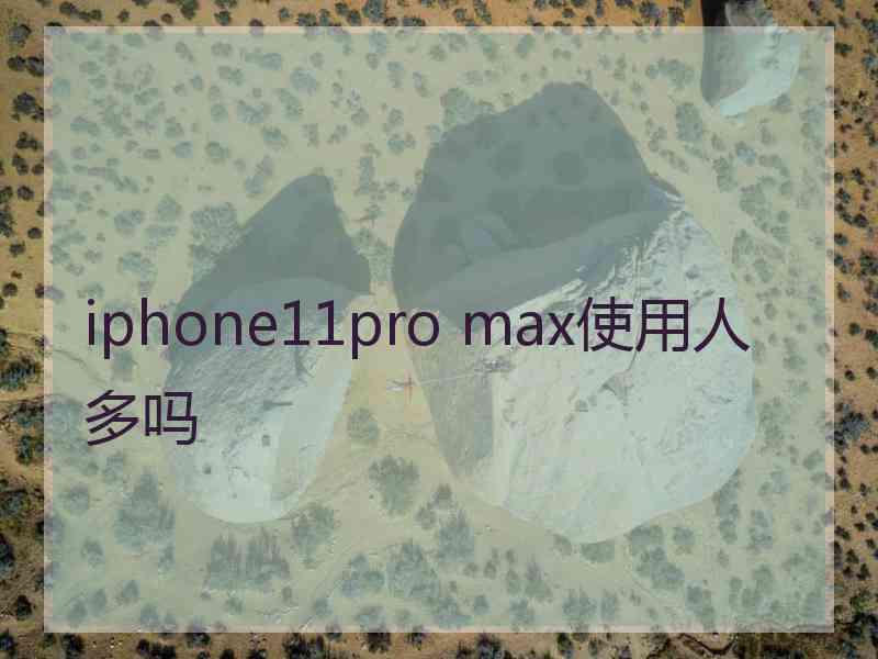 iphone11pro max使用人多吗