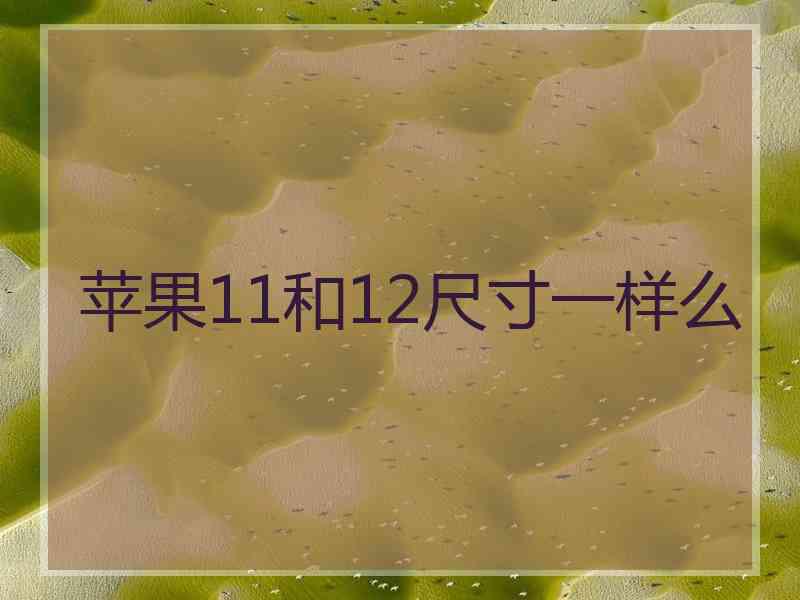 苹果11和12尺寸一样么