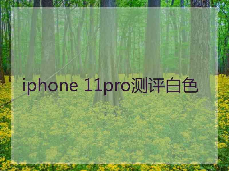 iphone 11pro测评白色