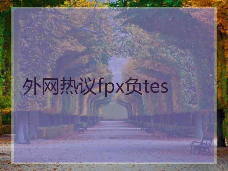 外网热议fpx负tes