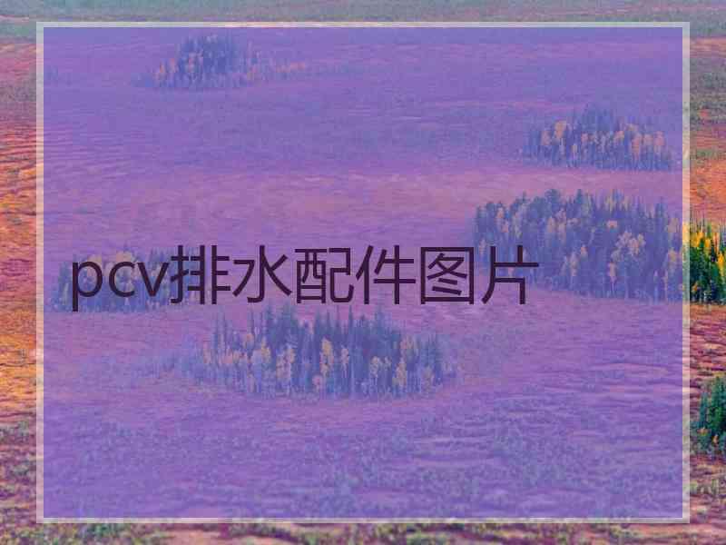 pcv排水配件图片