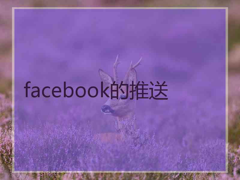 facebook的推送