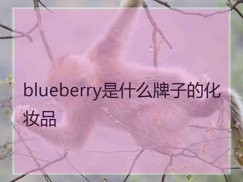 blueberry是什么牌子的化妆品