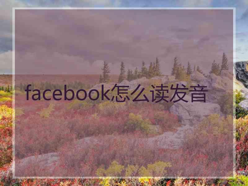 facebook怎么读发音