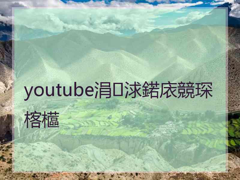 youtube涓浗鍩庡競琛楁櫙