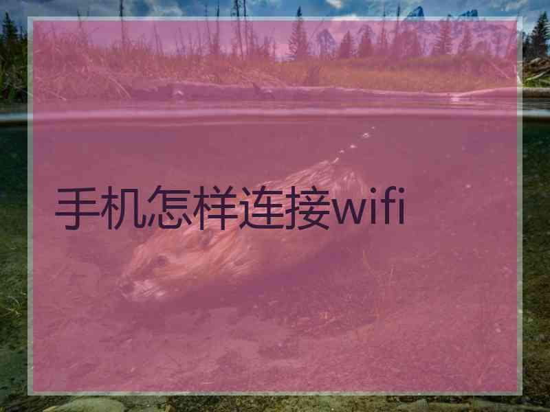 手机怎样连接wifi