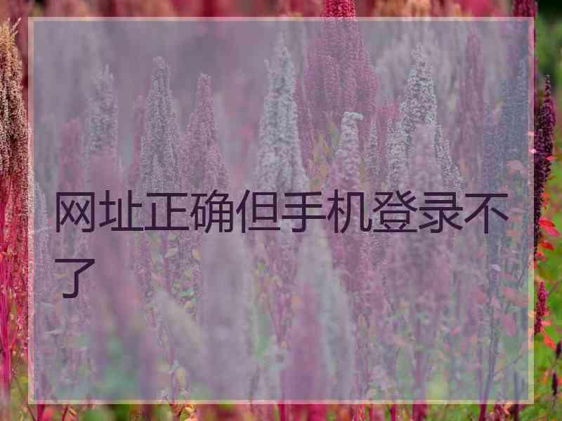 网址正确但手机登录不了