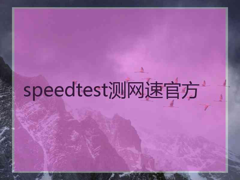 speedtest测网速官方