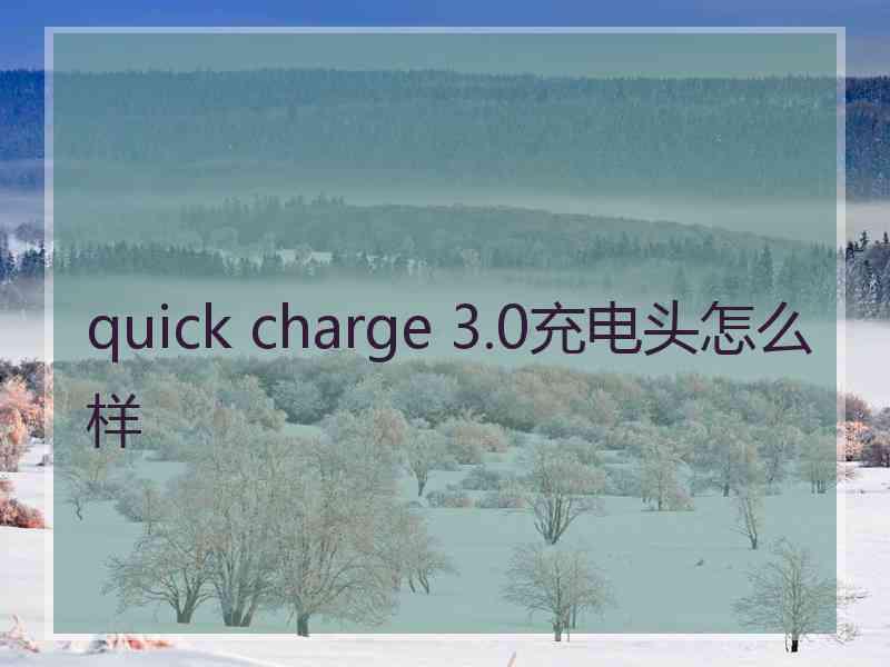 quick charge 3.0充电头怎么样