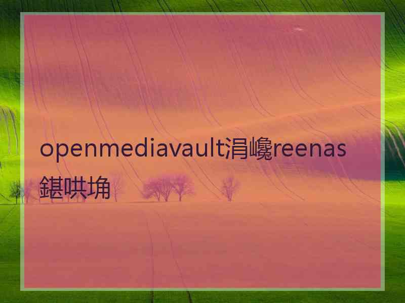 openmediavault涓巉reenas鍖哄埆