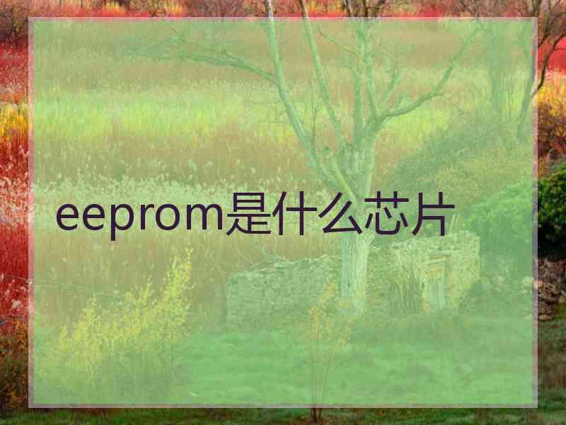 eeprom是什么芯片