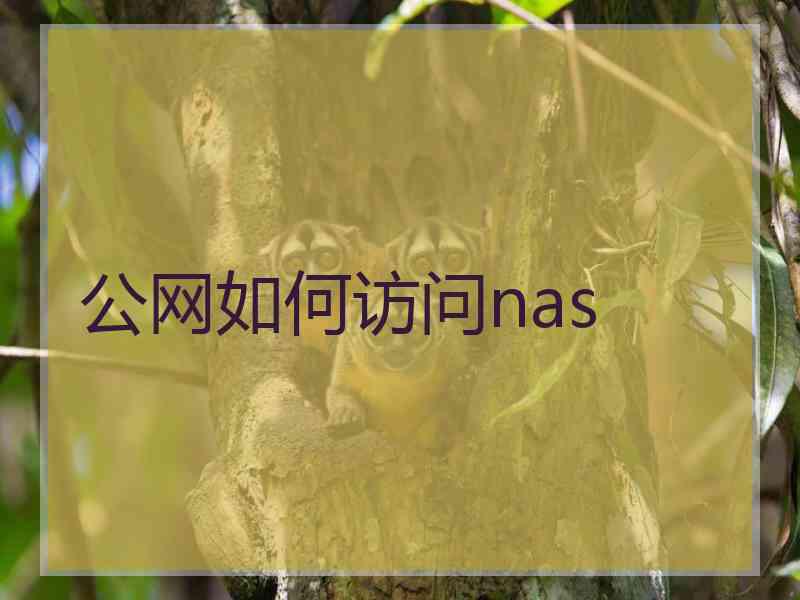 公网如何访问nas