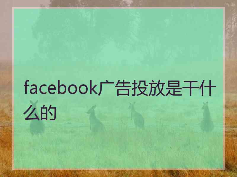 facebook广告投放是干什么的