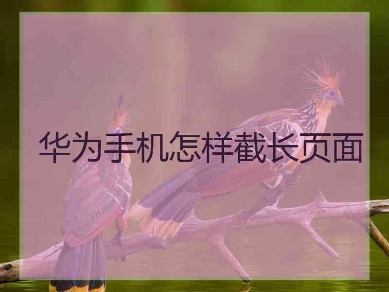 华为手机怎样截长页面