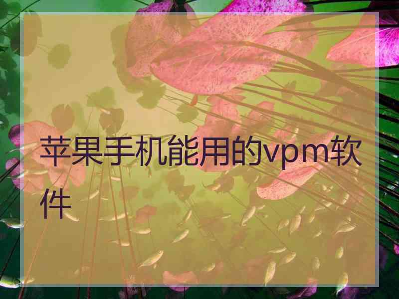 苹果手机能用的vpm软件