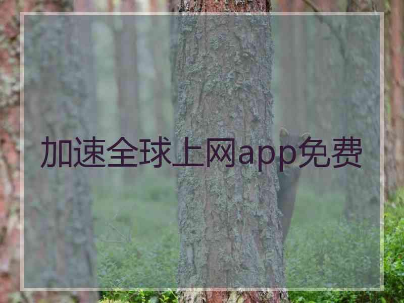 加速全球上网app免费