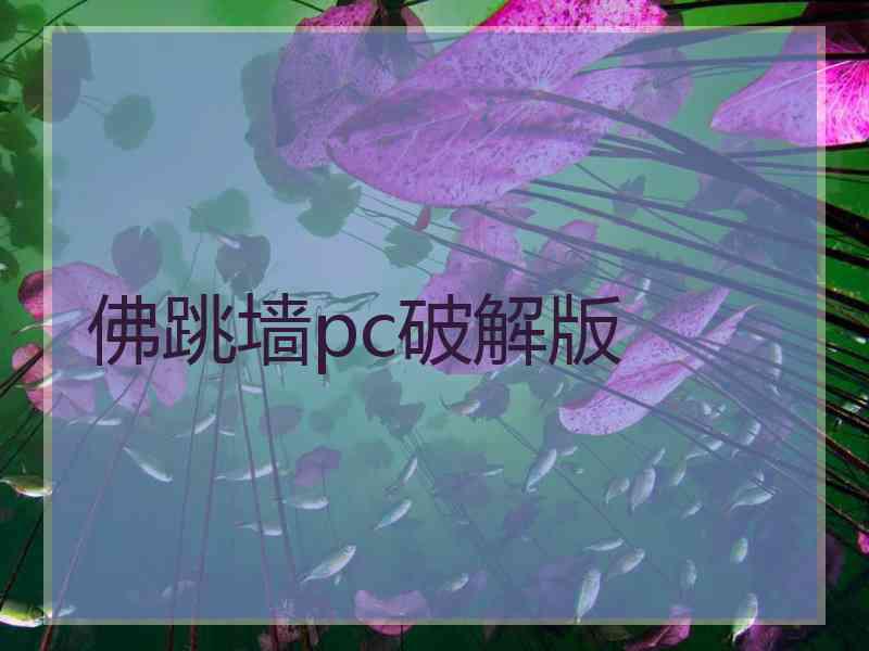 佛跳墙pc破解版