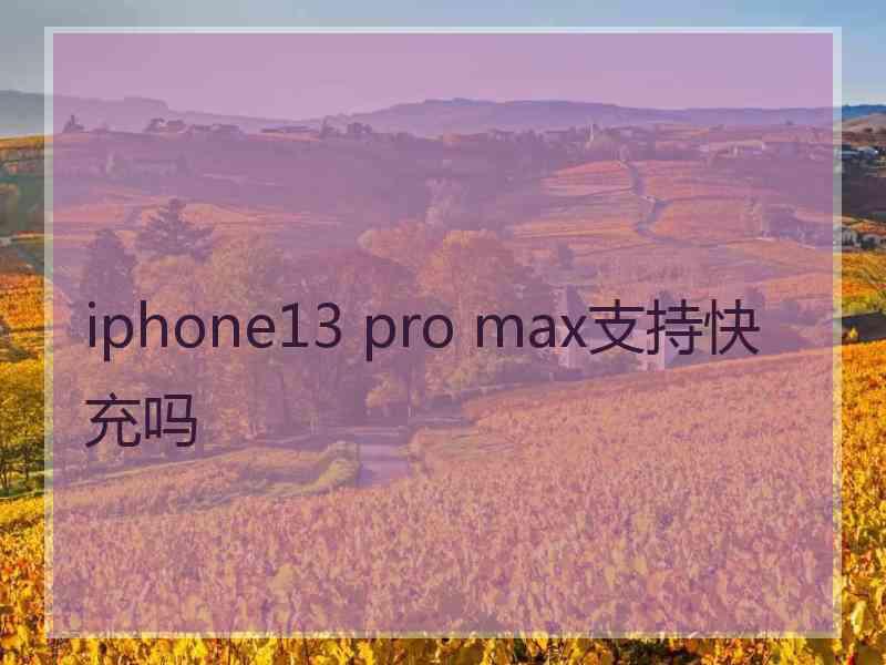 iphone13 pro max支持快充吗