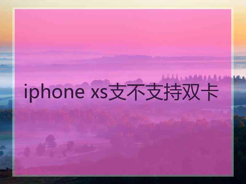 iphone xs支不支持双卡