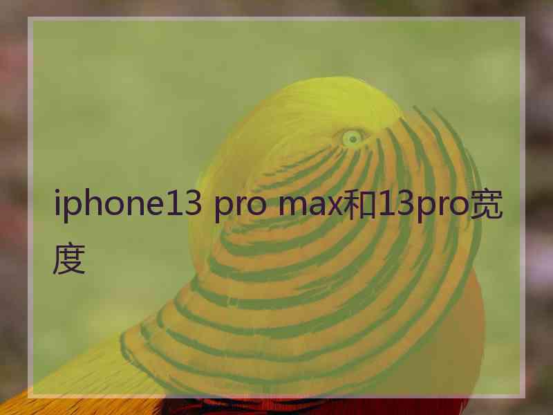 iphone13 pro max和13pro宽度