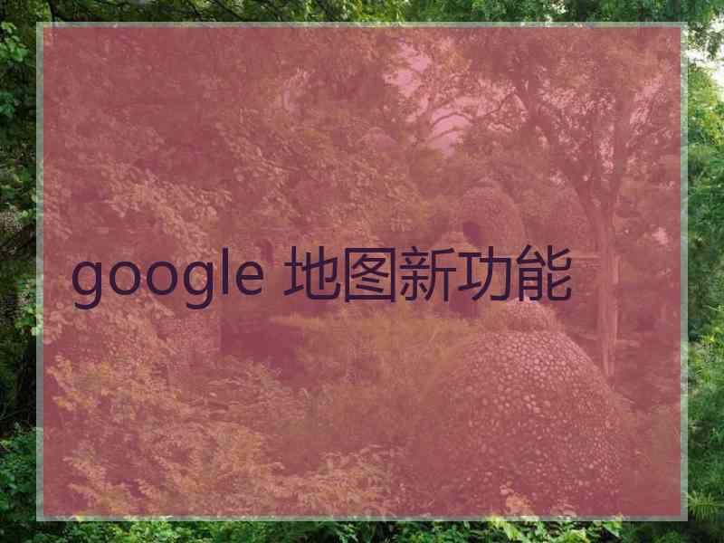 google 地图新功能