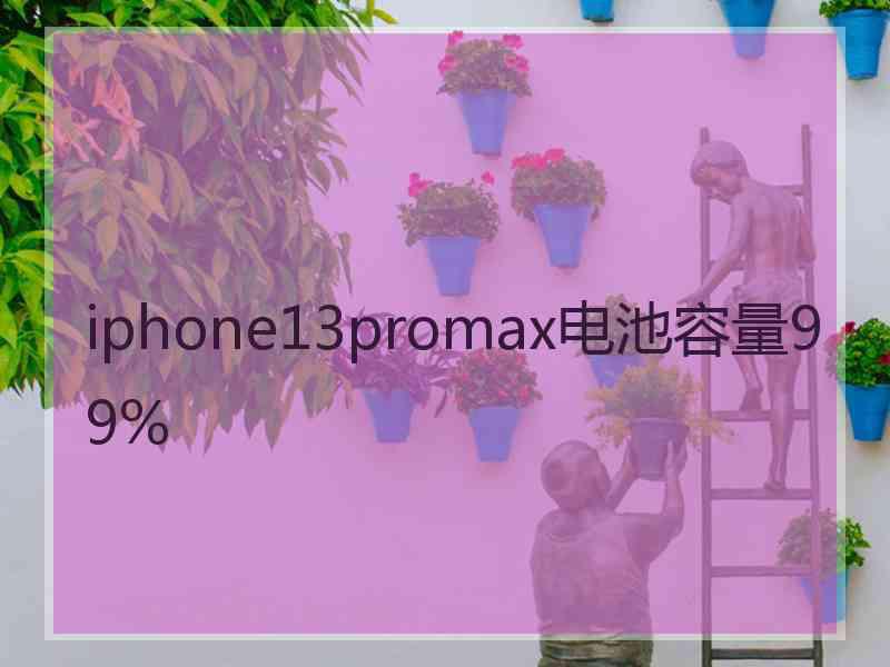 iphone13promax电池容量99%