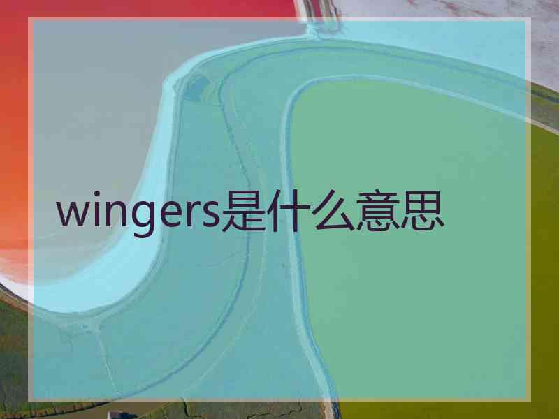 wingers是什么意思