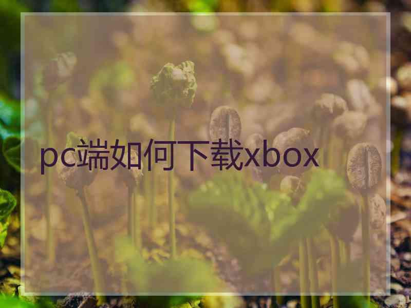 pc端如何下载xbox