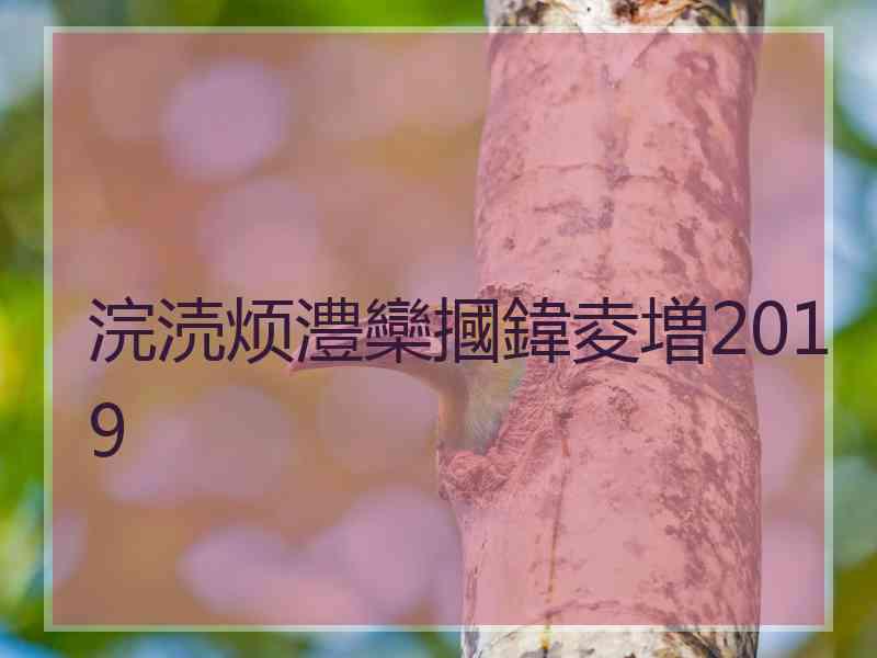 浣涜烦澧欒摑鍏夌増2019