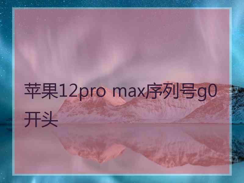 苹果12pro max序列号g0开头